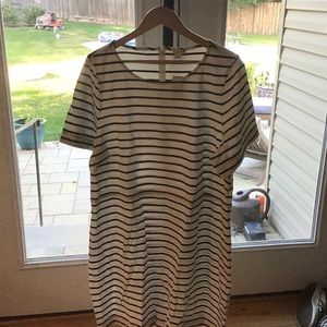 J crew factory white dress with stripes